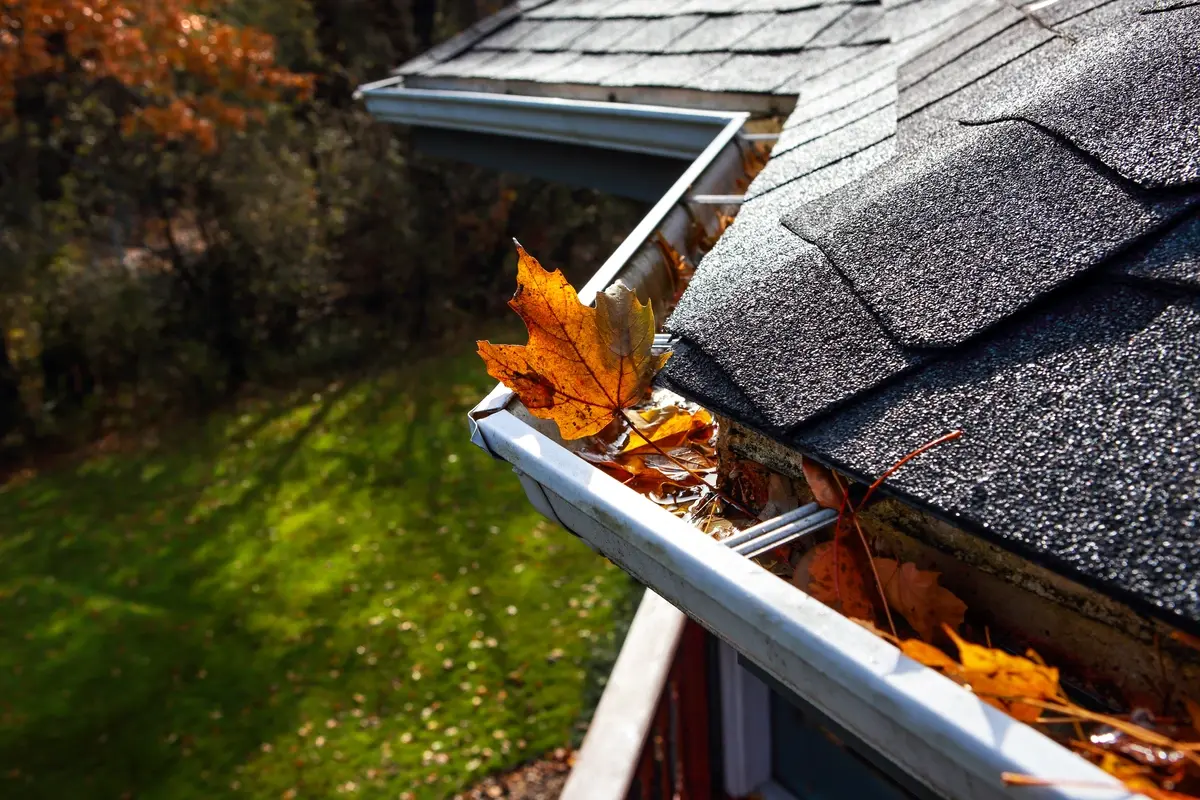 Closeup of gutters in need of de-clogging.